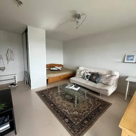 Renovated Studio With Spectacular Forest View