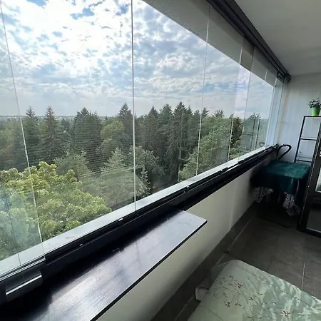 Renovated Studio With Spectacular Forest View