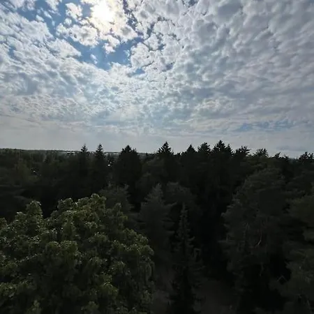 Renovated Studio With Spectacular Forest View Apartment *