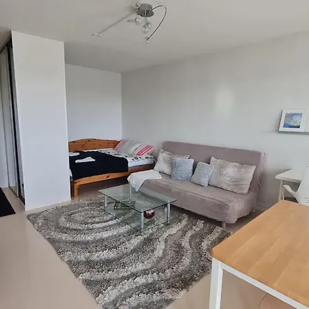 Renovated Studio With Spectacular Forest View Apartment